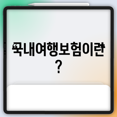 국내여행보험이란?