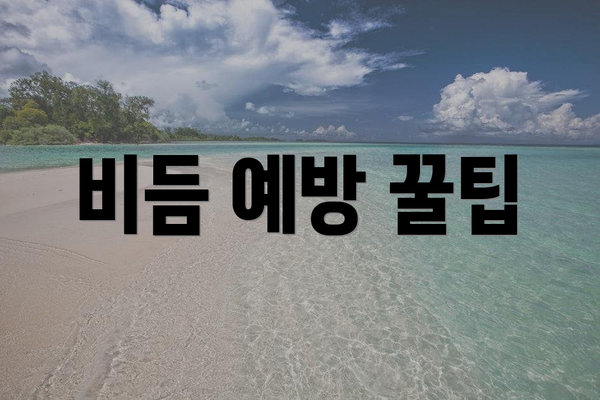 비듬 예방 꿀팁