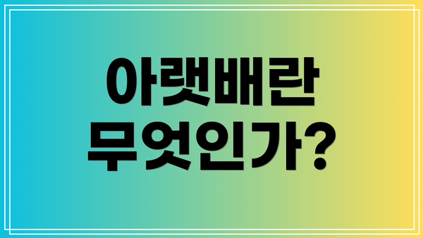 아랫배란 무엇인가?