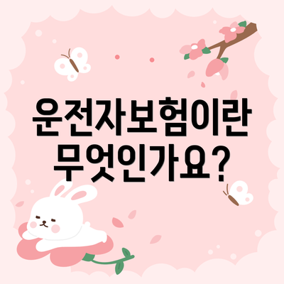 운전자보험이란 무엇인가요?