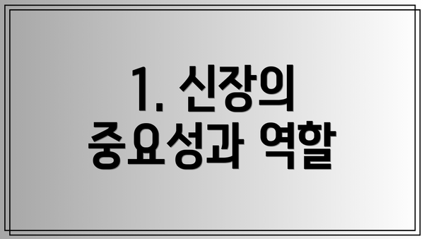 1. 신장의 중요성과 역할