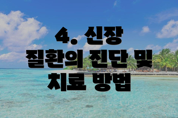 4. 신장 질환의 진단 및 치료 방법