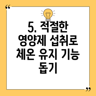 5. 적절한 영양제 섭취로 체온 유지 기능 돕기