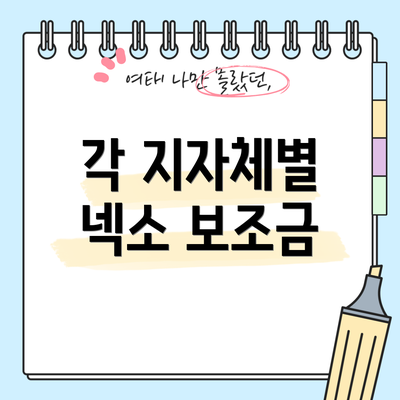 각 지자체별 넥소 보조금