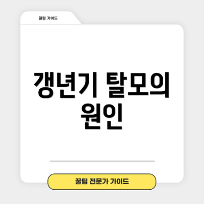 갱년기 탈모의 원인