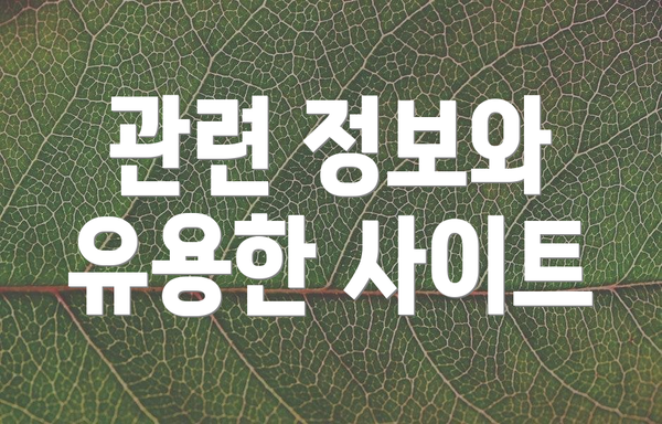 관련 정보와 유용한 사이트