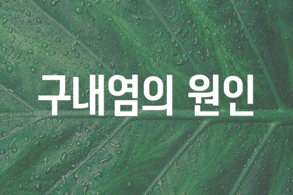 구내염의 원인