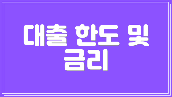 대출 한도 및 금리