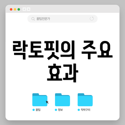 락토핏의 주요 효과
