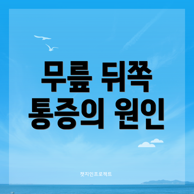 무릎 뒤쪽 통증의 원인