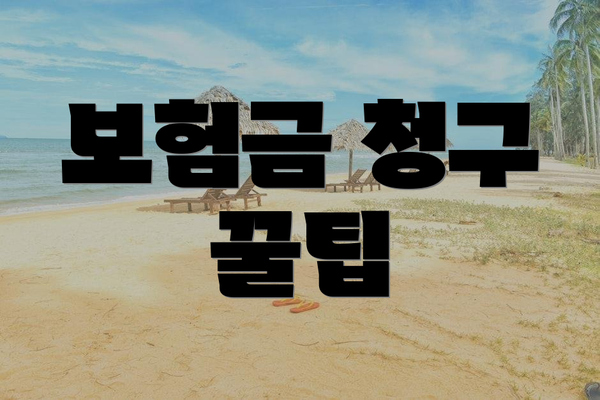 보험금 청구 꿀팁
