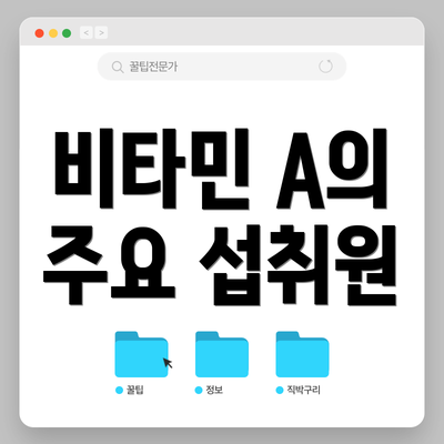 비타민 A의 주요 섭취원