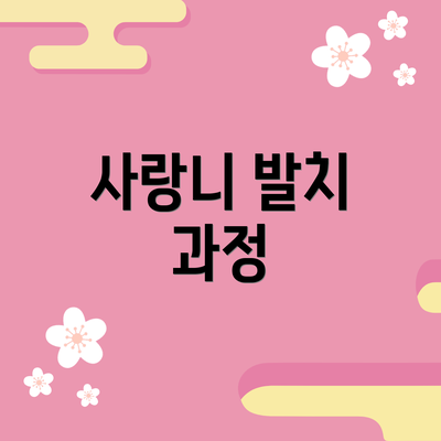 사랑니 발치 과정