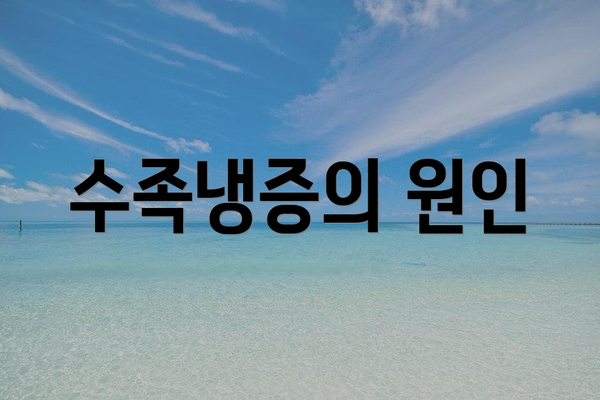 수족냉증의 원인