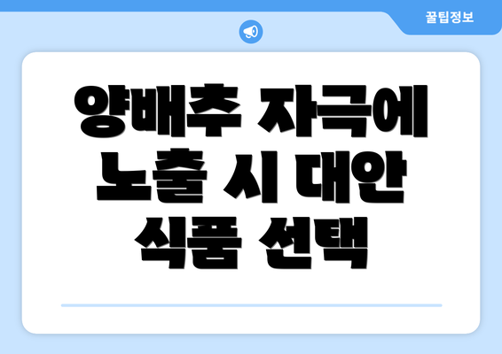 양배추 자극에 노출 시 대안 식품 선택