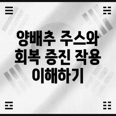 양배추 주스와 회복 증진 작용 이해하기