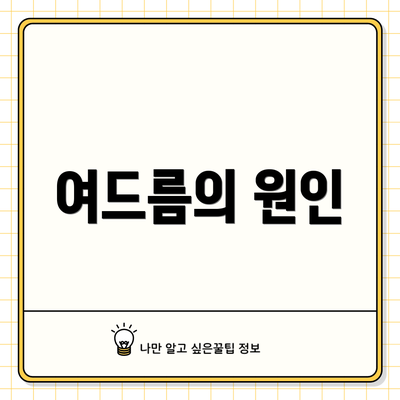 여드름의 원인