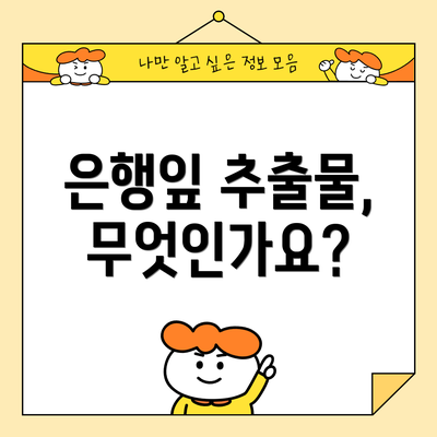 은행잎 추출물, 무엇인가요?
