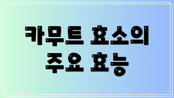 카무트 효소의 주요 효능
