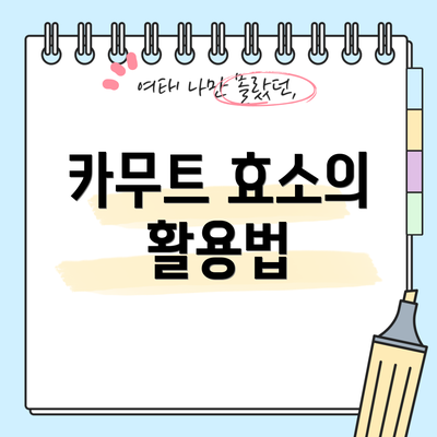 카무트 효소의 활용법