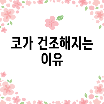 코가 건조해지는 이유