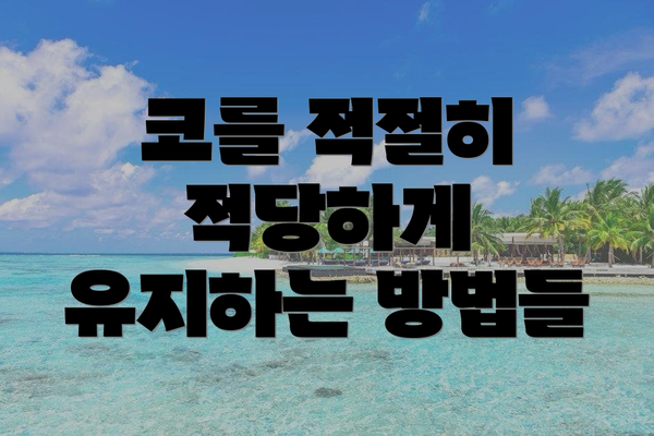 코를 적절히 적당하게 유지하는 방법들