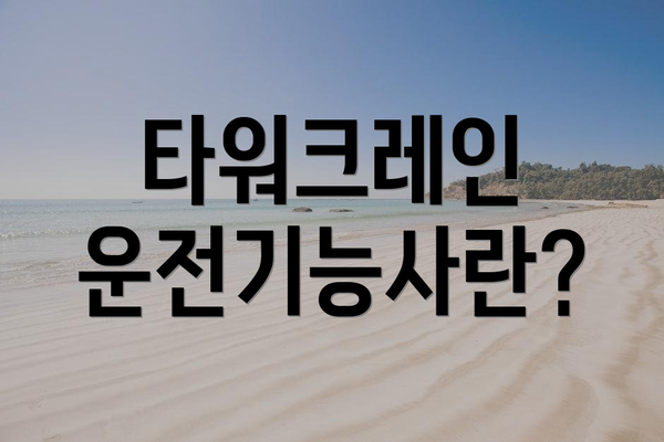 타워크레인 운전기능사란?