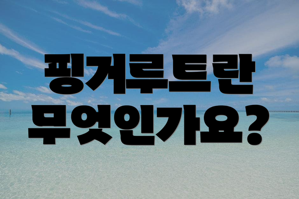 핑거루트란 무엇인가요?