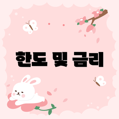 한도 및 금리