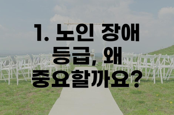 1. 노인 장애 등급, 왜 중요할까요?