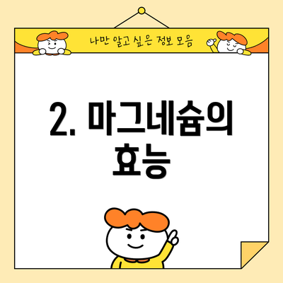 2. 마그네슘의 효능