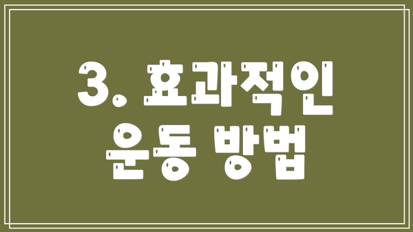 3. 효과적인 운동 방법
