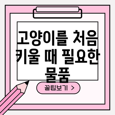 고양이를 처음 키울 때 필요한 물품