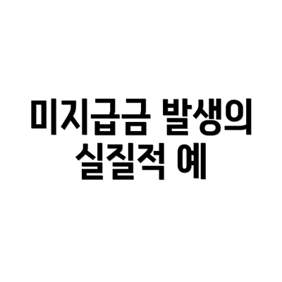 미지급금 발생의 실질적 예