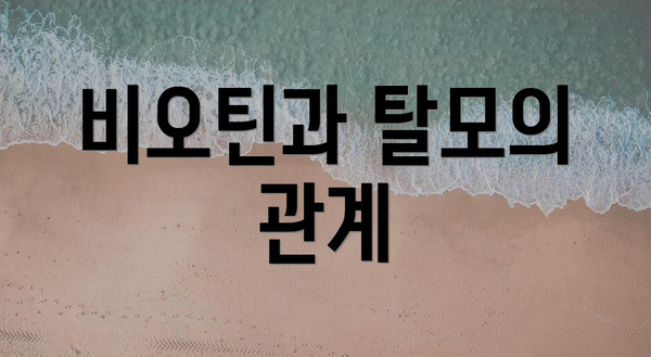 비오틴과 탈모의 관계