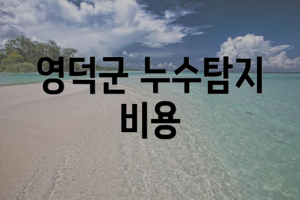 영덕군 누수탐지 비용