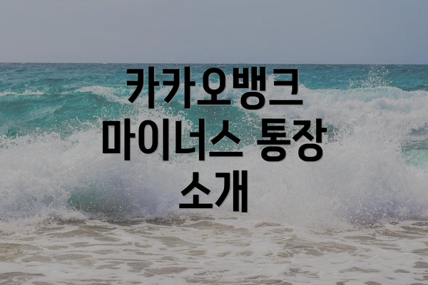 카카오뱅크 마이너스 통장 소개