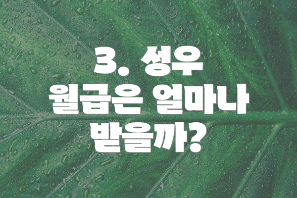 3. 성우 월급은 얼마나 받을까?