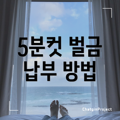 5분컷 벌금 납부 방법