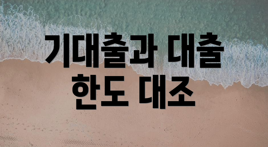 기대출과 대출 한도 대조