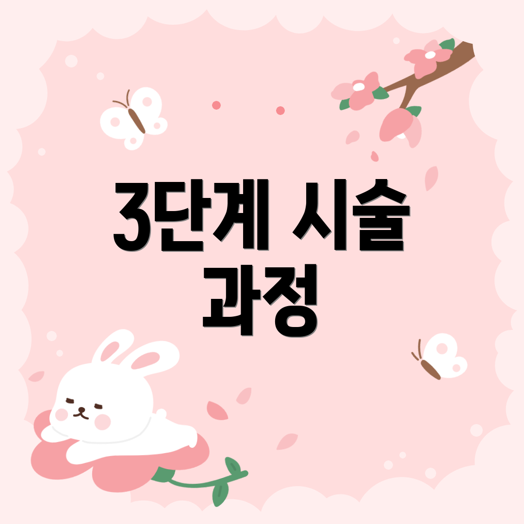 3단계 시술 과정