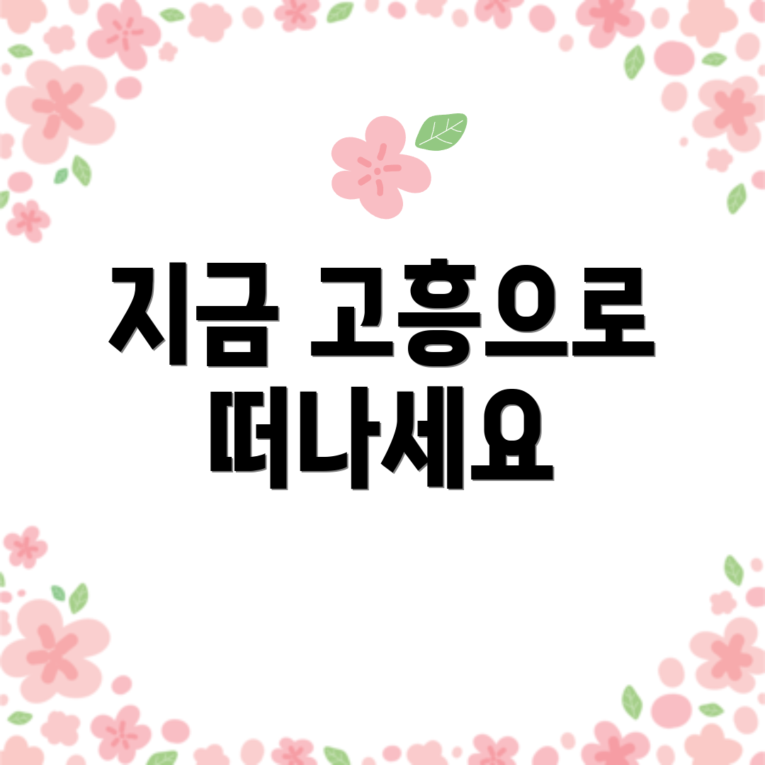 지금 고흥으로 떠나세요