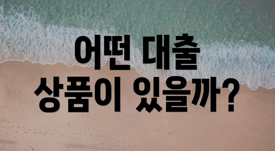 어떤 대출 상품이 있을까?