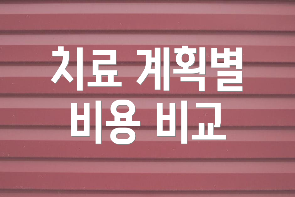 치료 계획별 비용 비교