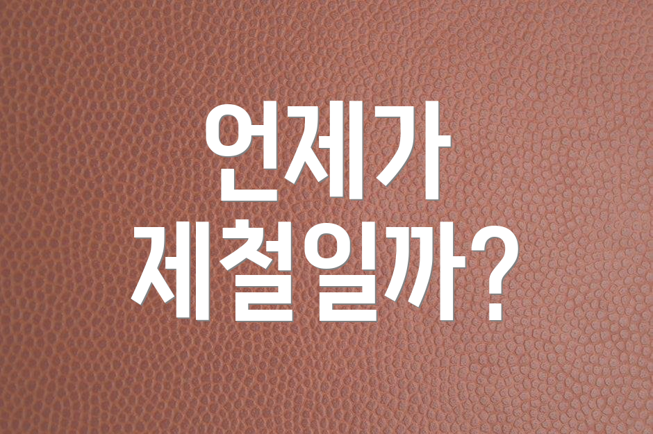 언제가 제철일까?