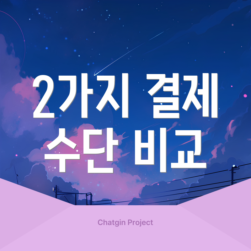 2가지 결제 수단 비교