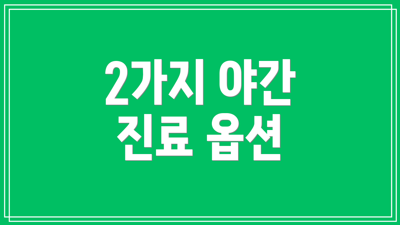 2가지 야간 진료 옵션