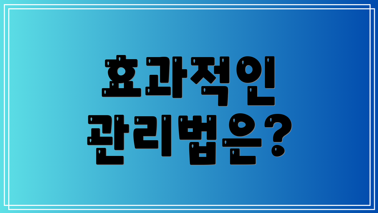 효과적인 관리법은?