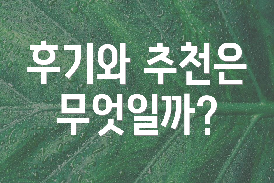 후기와 추천은 무엇일까?