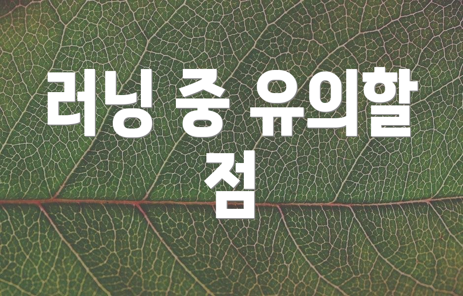 러닝 중 유의할 점